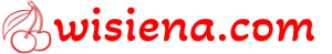 www.mail.wisiena.com